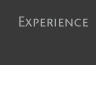 Experience